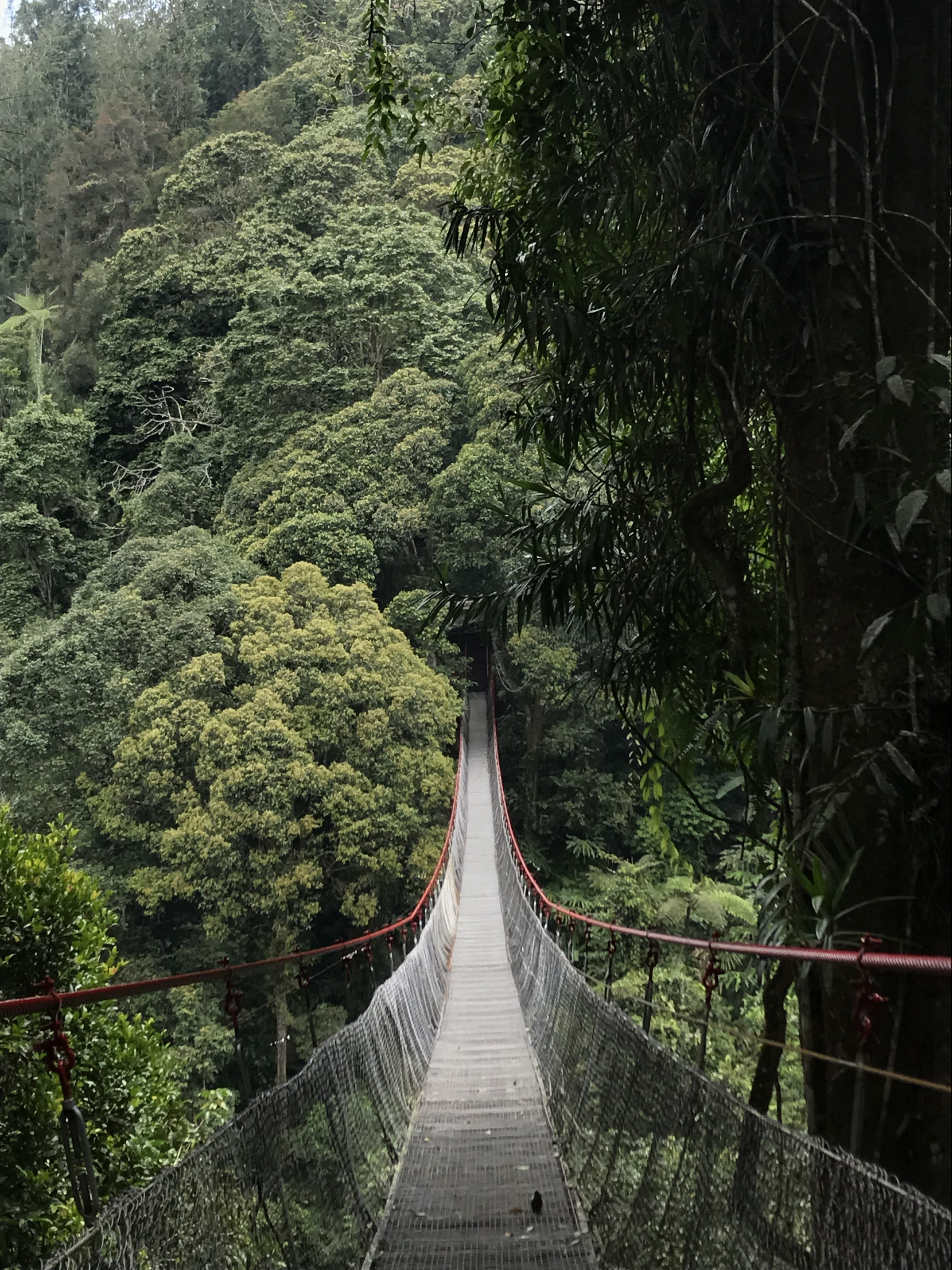 Jembatan Merah (Sumber Foto: Hypeabis.id/Kintan Nabila)
