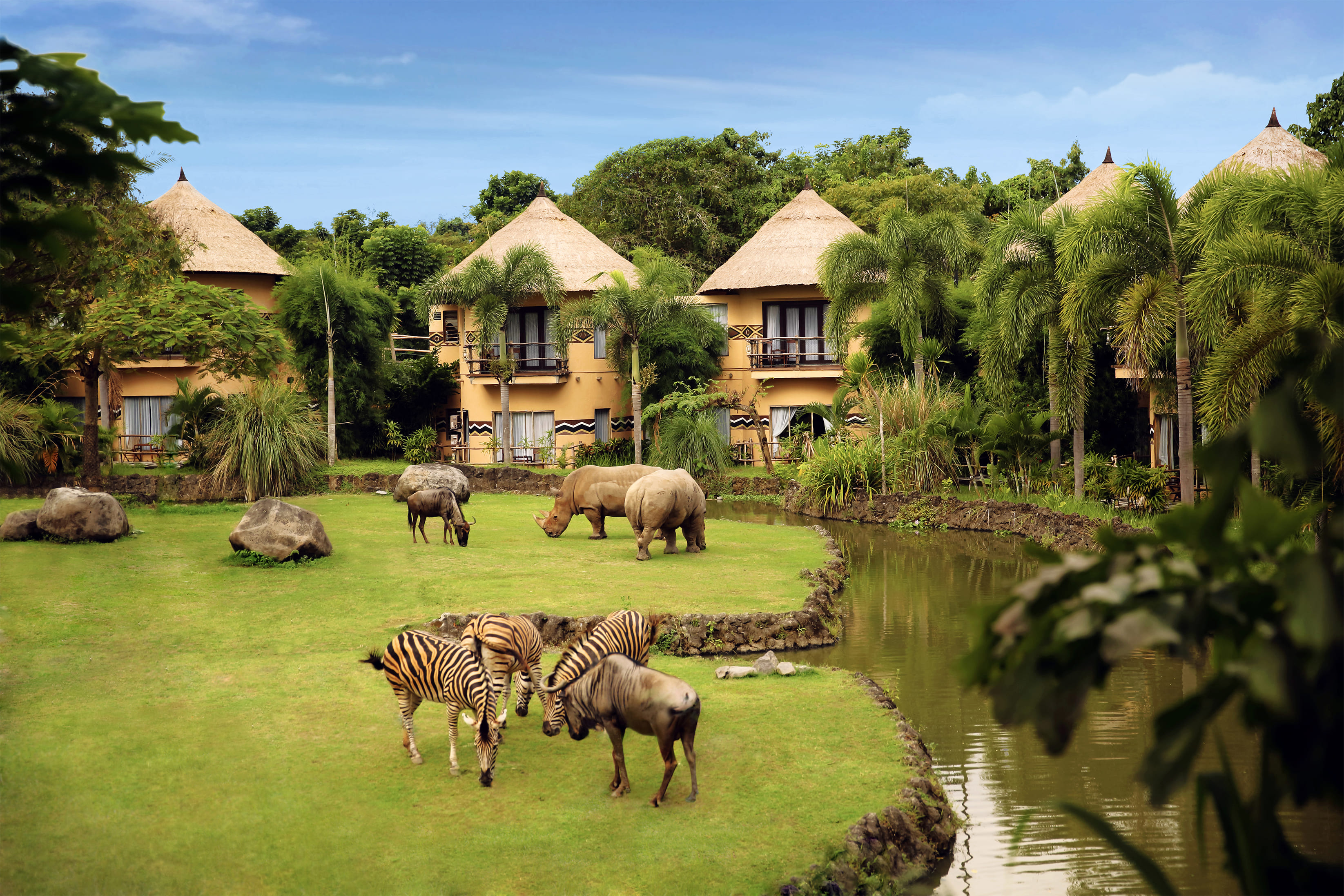 Mara River (sumber gambar : airasia Superapp