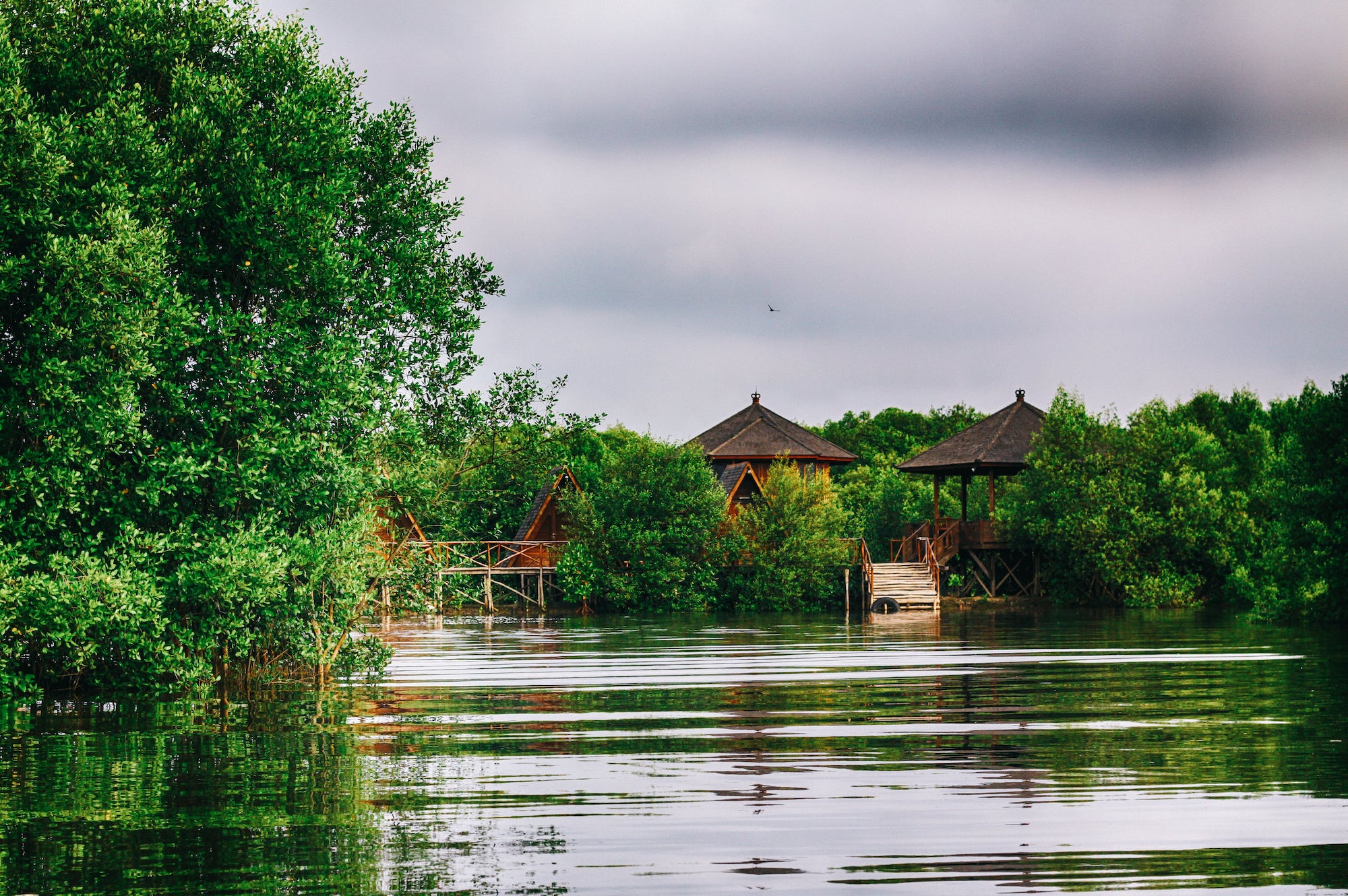 (Sumber: Jakarta Mangrove)
