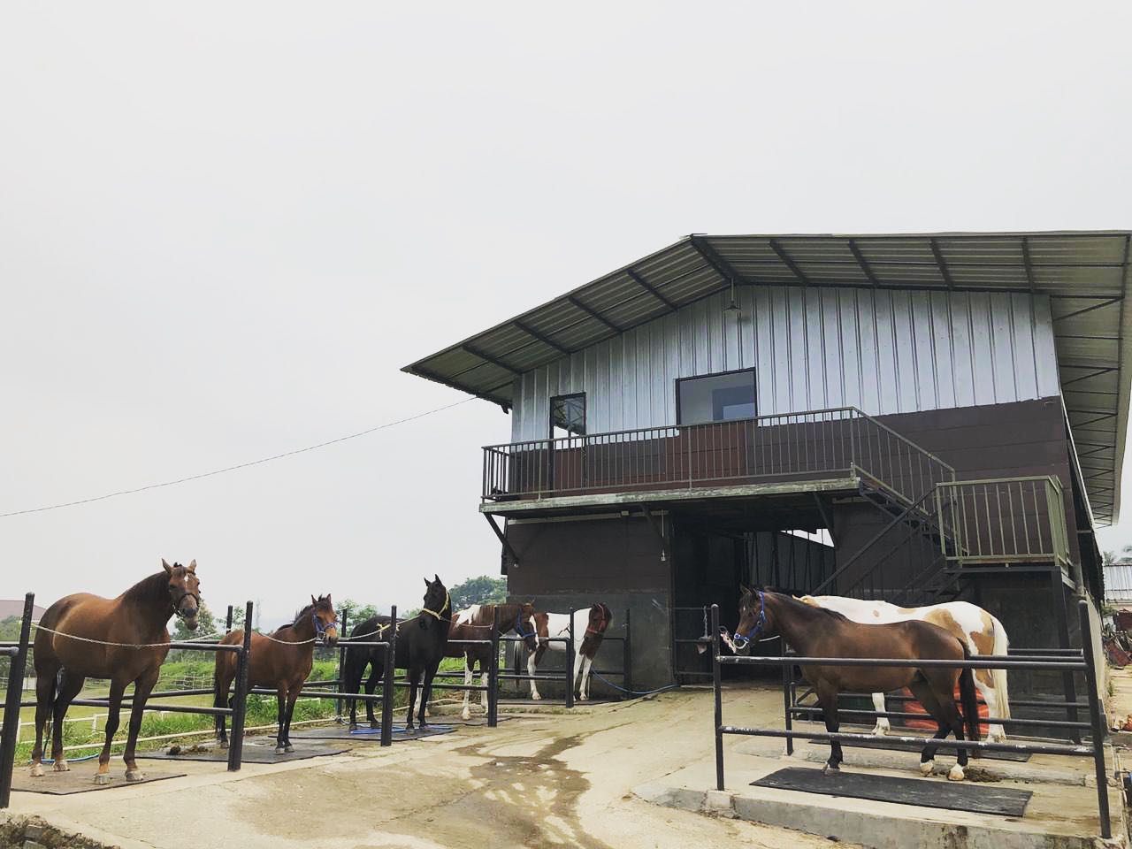 Berkuda di The Ranch (Sumber Foto: Instagram)