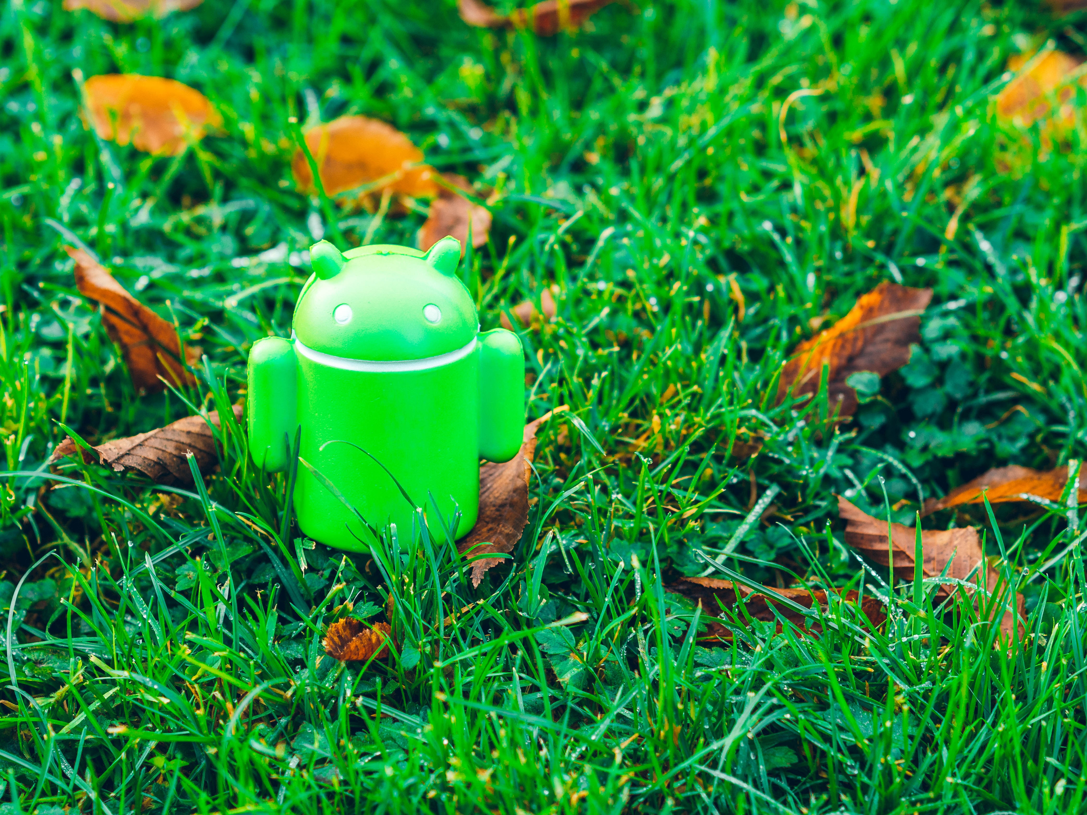 Android (Sumber: Unsplash/Alexander London)
