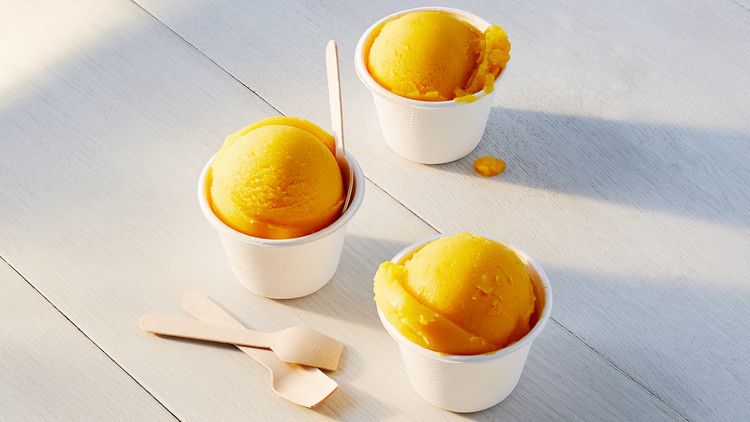 Ilustrasi sajian sorbet (sumber foto freepik)