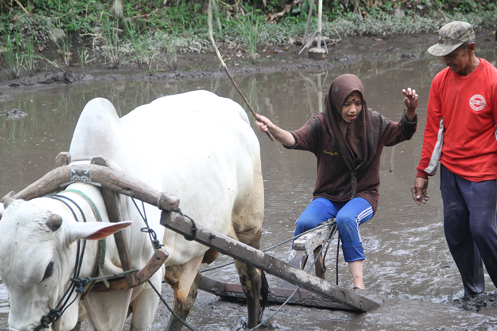 Kegiatan di Desa Pentingsari (Sumber gambar: Desa Pentingsari)