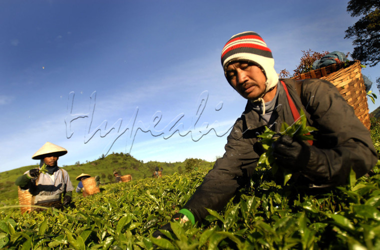 LOMBA FOTO EKSPRESI KEMERDEKAAN