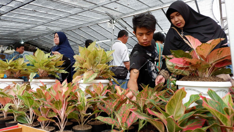 LOMBA FOTO EKSPRESI KEMERDEKAAN