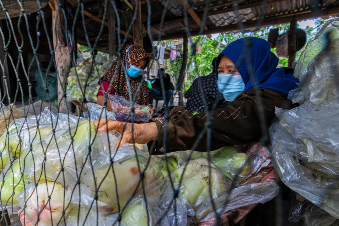 Merdeka dari Tekanan Ekonomi.<br />
Pertanian adalah merupakan sumber ekonomi yang bisa membuat tekanan ekonomi berkurang. Karena pertanian adalah sumber bahan pokok utama bagi manusia. <br />
<br />
Di Masa pandemi, pertanian salah satu aspek yang sangat di unggulkan didalam mendongkrak ekonomi keluarga dan ekonomi bangsam