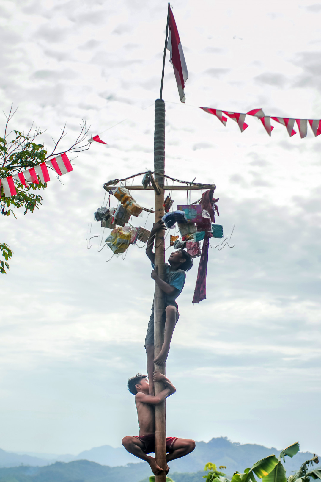 Panjat pinang, merupakan kegiatan yang melambangkan perjuangan kita untuk bekerja sama untuk sampai puncak dan mengibarkan bendera Merah Putih yaitu Bendera Indonesia.<br />
Sama halnya pada waktu zaman penjajahan, dimana Pahlawan Indonesia berjuang bersama sama hingga akhirnya memperoleh kemerdekaan di tanggal 17 Agustus 1945.<br />
Yang mana perjuangan mereka dulu untuk mengibarkan sang bendera Merah Putih amatlah susah.