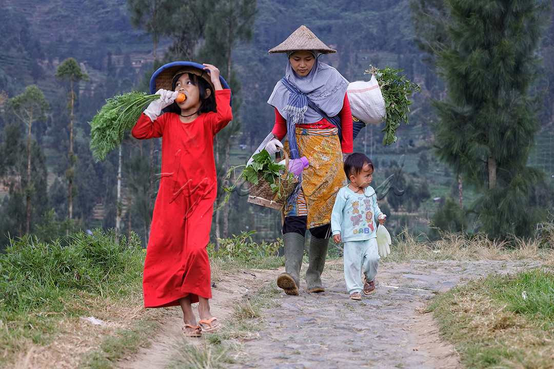 Makna merdeka bagi sebagian orang khususnya keuarga petani adalah mereka hidup nyaman dan berkecukupan dalam memenuhi kebutuhan sehari-hari mereka secara sederhana seperti saat mereka beranjak pulang dari ladang, kebun, maupun sawah yang mereka olah mereka merasa tanpa beban dan pemikiran akan keadaan ekonomi maupun pandemik seperti sekarang ini, karena mereka yakin bahwa alam adalah sumber kehidupan yang tak berkesudahan. 