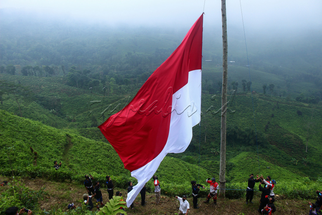 <strong>Merdeka Di Puncak Gunung Gambir</strong><br />
Komonitas Pencinta alam dan sepeda trial bersusah payah naik kepuncak gunung gambir untuk merayakan kemerdekaan RI yang 76, begitu sang merah putih berkibar dipuncak mereka bersuka ria merayakan kemerdekaannya