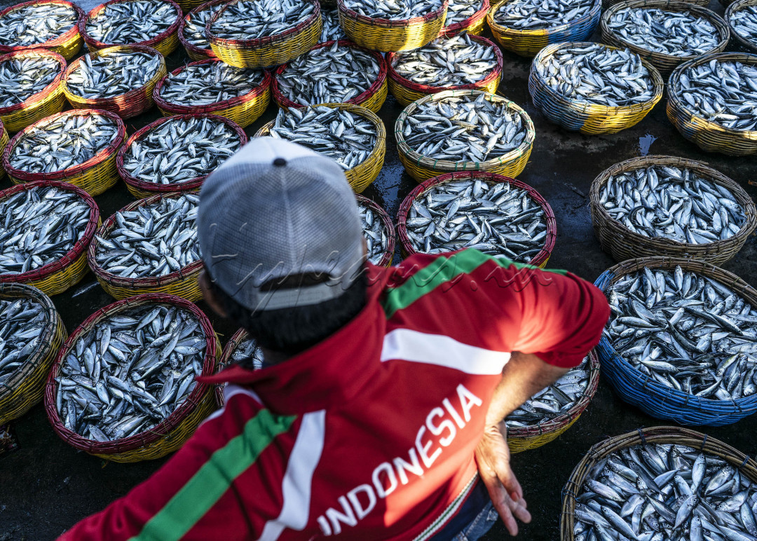 Seorang Pedagang ikan tengah menunggu pembeli diantara tumpukkan keranjang ikan yang baru diturunkan dari kapal nelayan di Tempat Pendaratan Ikan (TPI) Lampulo, Banda Aceh, Provinsi Aceh. Setiap harinya, kawasan TPI Lampulo menjadi tempat paling sibuk untuk bertransaksi antara nelayan dengan pedagang, hingga pedangan dengan pembeli walaupun ditengah adanya kekhawatiran wabah COVID-19 di Indonesia.<br />
