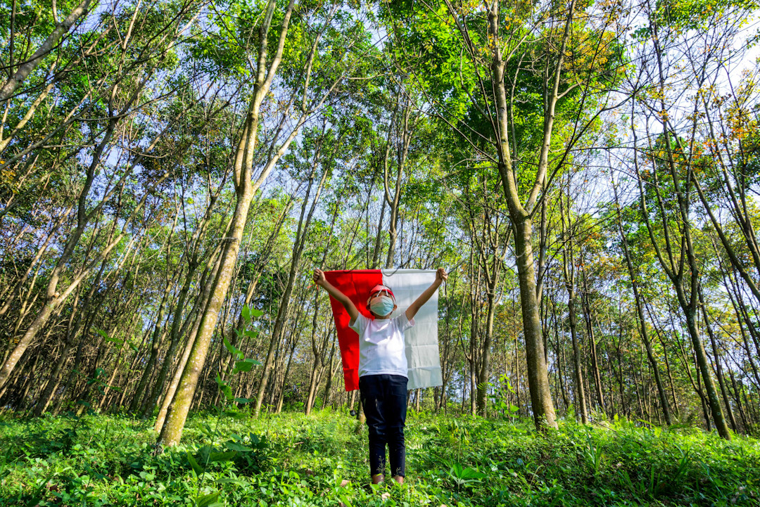 <div> </div>
<div>Arti Merdeka menurut Ku bukan hanya soal perjuangan mempertahankan NKRI, tetapi bagaimana mempertahankan keyakinan untuk tidak menjarah kekayaan sendiri.</div>
<div> </div>
<div>Hutan memang tidak punya suara, tetapi hutan adalah salah satu kekayaan NKRI yang layak dipertahankan.</div>
<div> </div>
<div>Faktanya, hutan Indonesia merupakan hutan tropis terluas ke-3 di dunia dan rumah bagi jutaan spesies langka yang hanya bisa ditemukan di tanah air tercinta.</div>
<div> </div>
<div>Tapi sudahkah hutan kita merdeka? Kenyataanya, Indonesia kehilangan hutan seluas 3x lapangan sepak bola setiap menitnya. Terdapat lebih dari 3000 berita mengenai pembalakan liar, kebakaran hutan, alih fungsi hutan hingga berita mengerikan lainnya mengenai hutan selama tahun 2018 - 2021.</div>
<div> </div>
<div>Mari kobarkan semangat dirgahayu dengan mendukung hutan Indonesia untuk merdeka ???????? ????????</div>