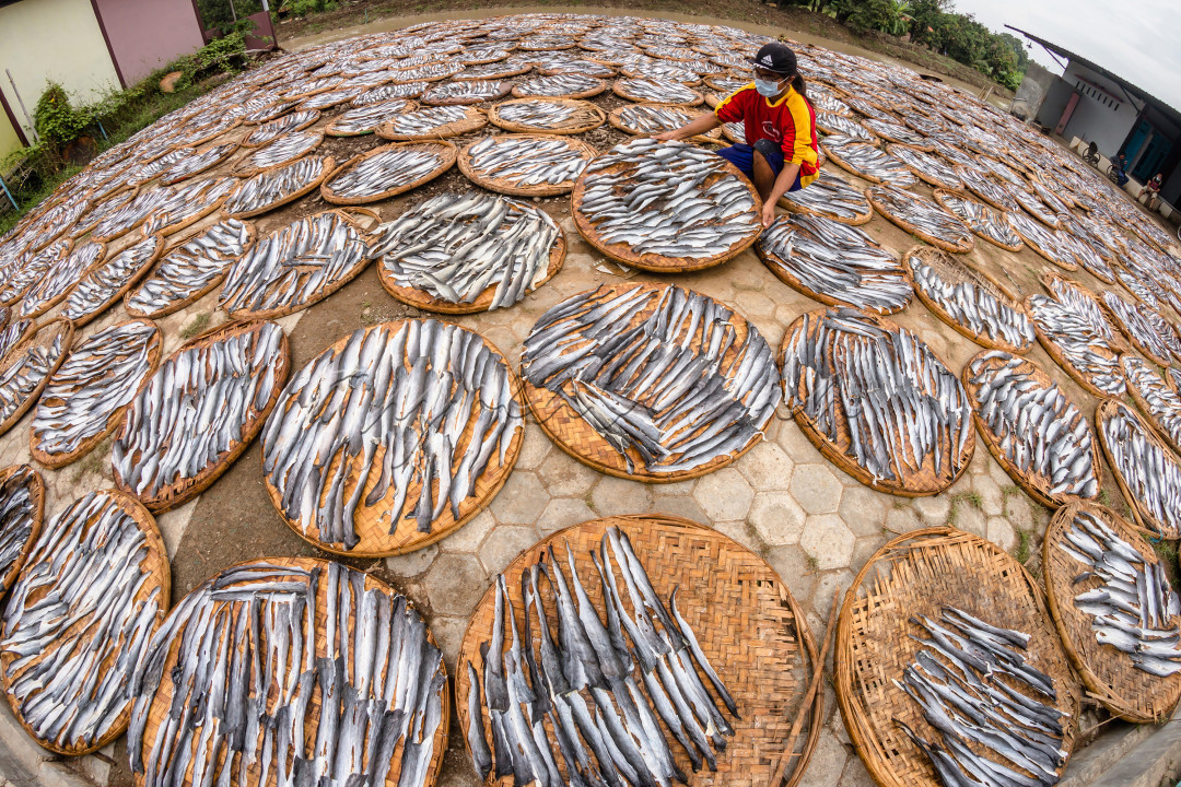Pengrajin kerupuk kulit ikan di daerah Indramayu tetap bekerja menjemur kulit ikan dengan prokes<br />
untuk merdeka dari Covid-19
