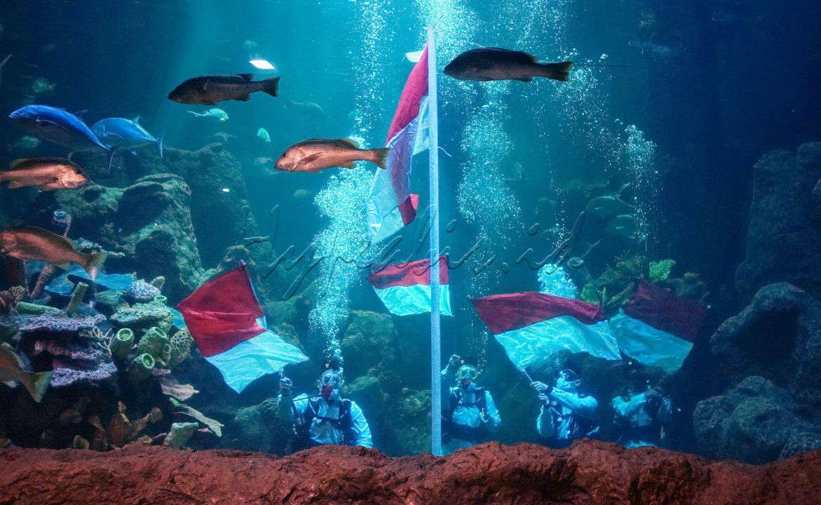 Sejumlah penyelam melakukan upacara pengibaran Bendera Merah Putih di aquarium utama Sea World Ancol, Jakarta, Senin 17 Agustus 2020. 