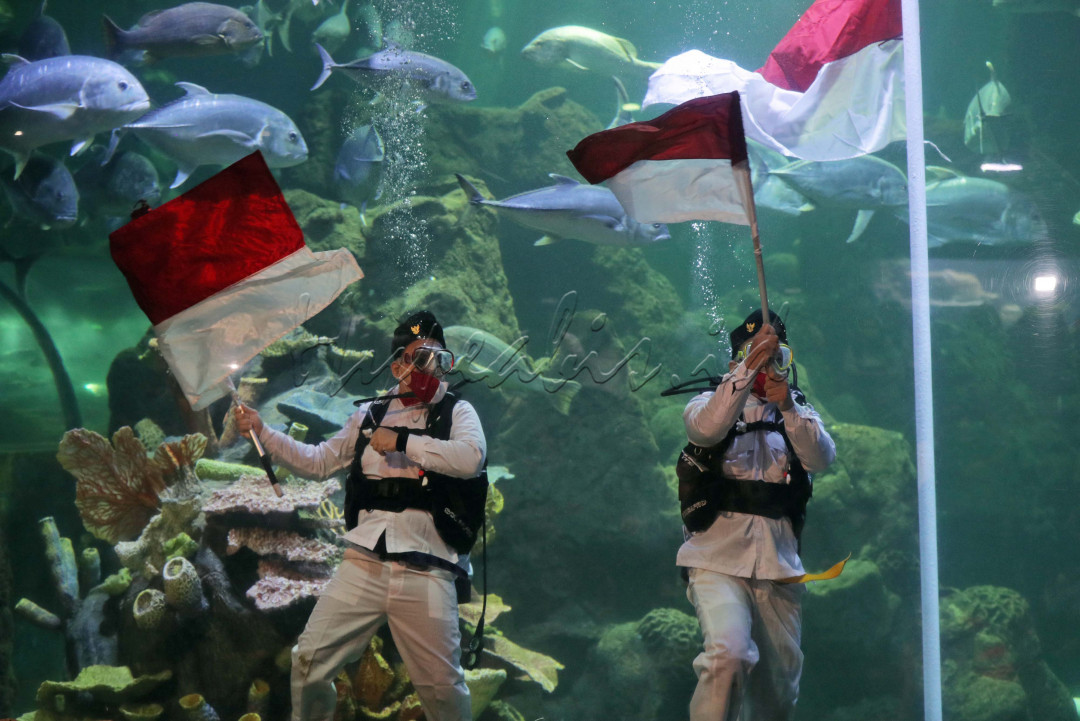 Penyelam melakukan upacara pengibaran bendera dari dalam akuarium yang dipenuhi oleh ikan-ikan.
