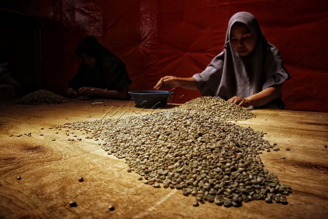 Sejumlah pekerja tengah menyortr biji kopi arabica di kawasan Kabupaten Solok. Kopi tersebut dibawa dari perkebunan di daerah Alahan Panjang, Kabupaten Solok, Sumatera Barat. Kopi berkualitas baik tersebut, penyebaran tidak hanya di Sumatera Barat, namun hingga ke luar Indonesia.