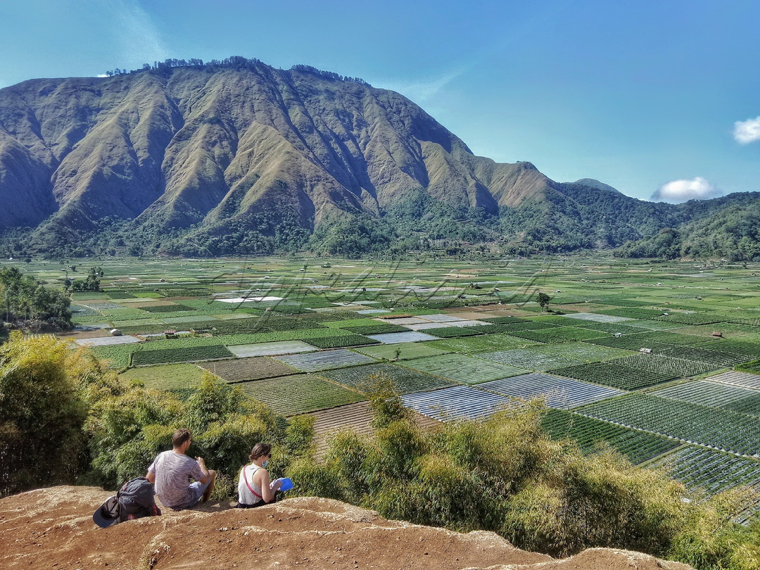 Persona Wisata Bukit selong terletak di bawah kaki gunung rinjani di desa sembalun-lombok