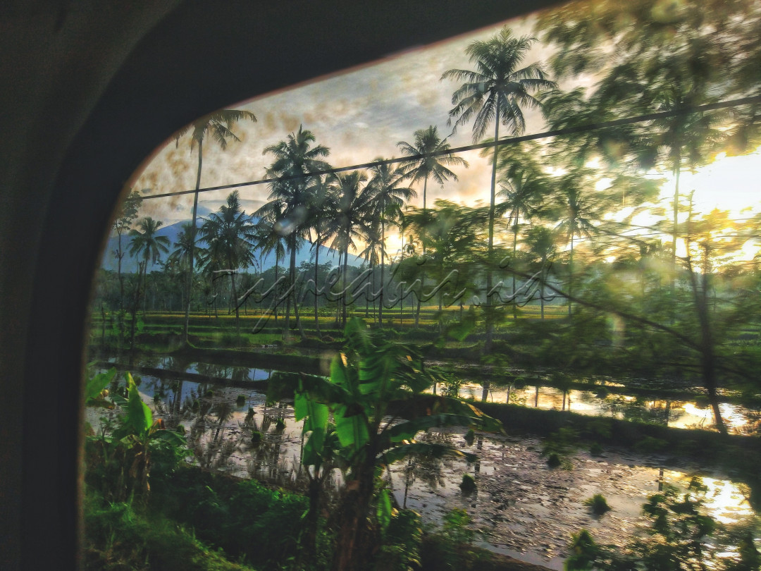 Melihat persawahan yang ada di banyuwangi, dari atas kereta api saya melihat keindahan alam kecamatan Glenmore banyuwangi.<br />
Menarik jika dilihat dari nama kecamatan tersebut, tidak seperti nama-nama kecamatan yang ada di indonesia pada umumnya, beberapa daerah di luar negeri yang menggunakan nama Glenmore juga memiliki kemiripan kontur berhawa dingin dan daerah perkebunan.<br />
<br />
Bangga Indonesia<br />
#Lombafotobisnisindonesia #Hypeabisid #Bisnisindonesiafoto