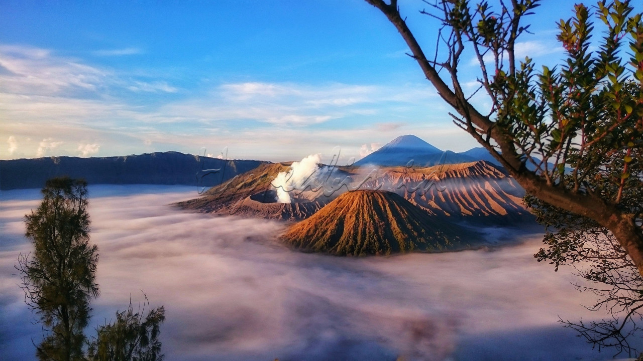 Gunung bromo merupakan salah satu wisata gunung yang terletak di provinsi jawa timur kab probolinggo, bromo memiliki beberapa spot sunrise yang dapat dikunjungi salah satunya adalah spot bukit kingkong, salah satu spot baru untuk menikmati keindahan sunrise gunung bromo, ada dua pilihan untuk menuju bukit kingkong, menggunakan jeep hingga atas bukit kingkong atau dengan cara hiking, dan saya mencoba memilih hiking menuju bukit kingkong, butuh waktu kurang lebih 1 jam hingga sampai diatas bukit kingkong, dari atas bukit tersebut bromo sangat indah dengan segala keajaibanya.<br />
<br />
Bangga Indonesia<br />
#Lombafotobisnisindonesia #Hypeabisid #Bisnisindonesiafoto