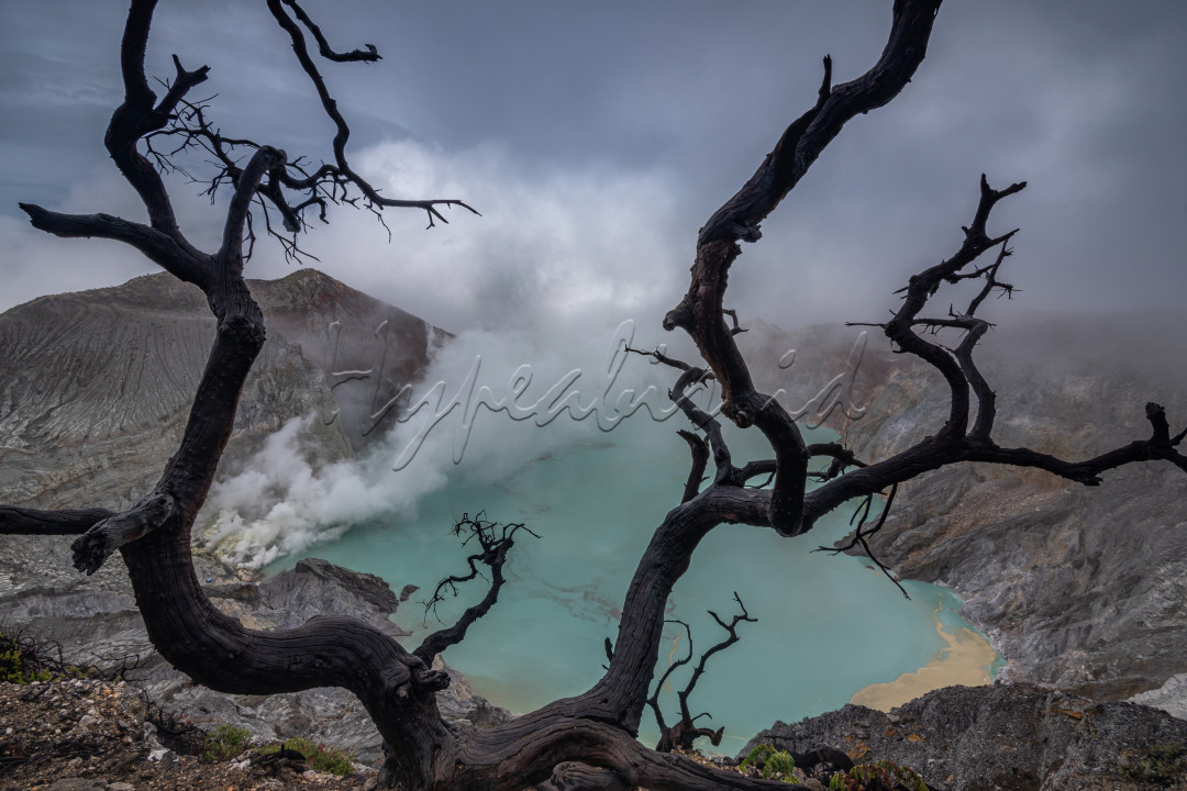 Dengan ditetapkannya Gunung Ijen sebagai cagar biosfir oleh Unesco pada Maret 2016, bisa dipastikan pesona Kawah Ijen akan kian mendunia dan mendatangkan lebih banyak wisatawan mancanegara. Kawasan Wisata Kawah Ijen masuk dalam wilayah Cagar Alam Taman Wisata Ijen dengan luas 2.560 hektare, termasuk hutan wisata seluas 92 hektare. Kawah Ijen ini terletak di puncak Gunung Ijen di wilayah Kecamatan Licin, Kabupaten Banyuwangi dan Kecamatan Klobang, Kabupaten Bondowoso. Kawah Ijen merupakan sebuah danau di atas Gunung Ijen yang terbentuk akibat proses letusan Gunung Ijen, membuat kawah tersebut dipenuhi oleh air sehingga membentuk sebuah danau kawah yang sangat menakjubkan.Yang menarik adalah kawah ini berada di tengah kaldera yang terluas di Pulau Jawa dengan diameter 6 km. Ukuran kawahnya sendiri sekitar 960 meter x 600 meter dengan kedalaman 200 meter. Kawah ini terletak di kedalaman lebih dari 300 meter di bawah dinding kaldera.<br />
