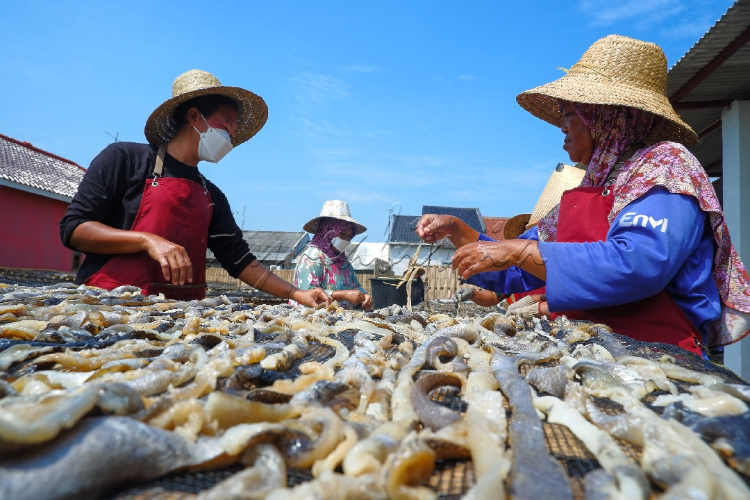 Pekerja menjemur kulit ikan patin disebuah industri rumahan di Desa karangsong Indramayu dengan memanfaatkan panas matahari.
