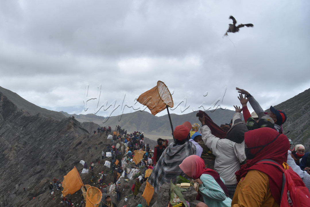Warga berebut sesaji berupa hewan ternak yang di lempar ke kawah saat puncak ritual Yadnya Kasada di Gunung Bromo, Probolinggo, Jawa Timur 7 Juli 2020. Yadnya Kasada merupakan bentuk ungkapan sukur kepada sang pencipta dan penghormatan bagi para leluhur Tengger dengan melarung sesaji ke kawah Bromo.