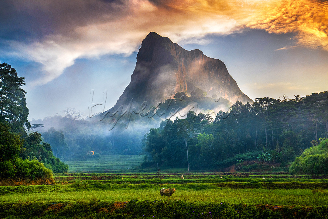 Adalah bukit Kandora, Mengkendek, Tana Toraja adalah satu tempat yang mempunyai kedudukan khusus dalam sejarah budaya suku Toraja yang menceritakan pada kita bahwa daerah ini beberapa kali menjadi pusat kediaman salah seorang pimpinan tertinggi adat setempat yang turun dari langit. Selain memiliki cerita yang panjang, pesona tempat ini adalah salah satu spot terbaik menikmati sunrise di Kota Makale