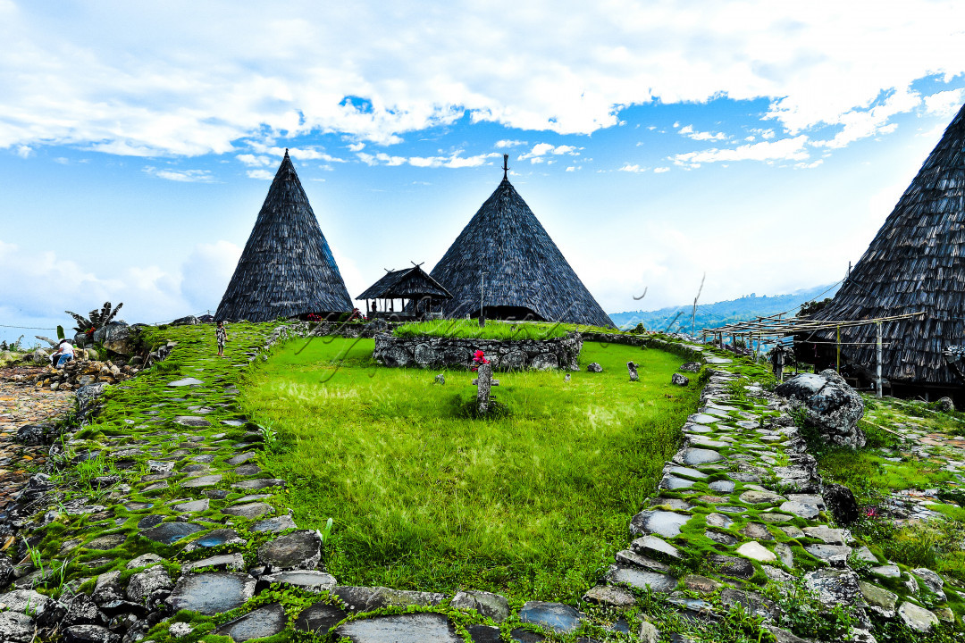 Kampung Adat Todo merupakan sebuah kampung adat tertua di Manggarai. Tempat ini diyakini sebagai tempat berasalnya Raja Manggarai pertama. Berada di kaki Gunung Anak Ranaka tepatnya di Kecamatan Satar Mese Utara, Kabupaten Manggarai, Flores, NTT. Desa Todo adalah pusat Pemerintahan Kerajaan Manggarai pada jaman tersebut.