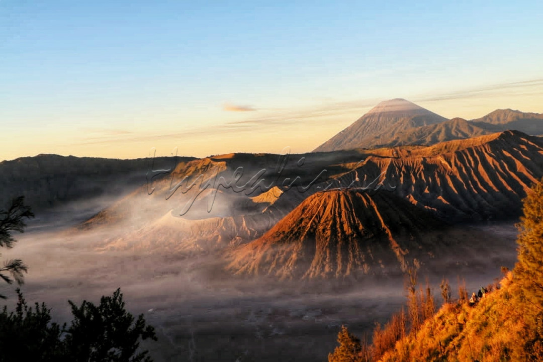 Bromo kala fajar menyingsing <br />
<br />
??????foto ini diambil diatas bukit kingkong/kingkong hill mungkin temen temen traveling atau photograpy pasti sudah gak asing dengan spot ini. tempat yang past buat foto atau sekedar menikmati matahari terbit dan di tambah lagi mata kita dimanjakan maha karya lukisan sang Pencipta "keindahan bromo yang tersinari matahari terbit", oh ya nama lain bukit kingkong ini adalah bukit kedaluh letakanya dibawah bukit penanjakan 1 Bromo. bukit ini memiliki ketinggian sekitar 2700 mdpl. sehingga menjadi tempat atau spot favorit buat temen temen traveling dan photograpy.