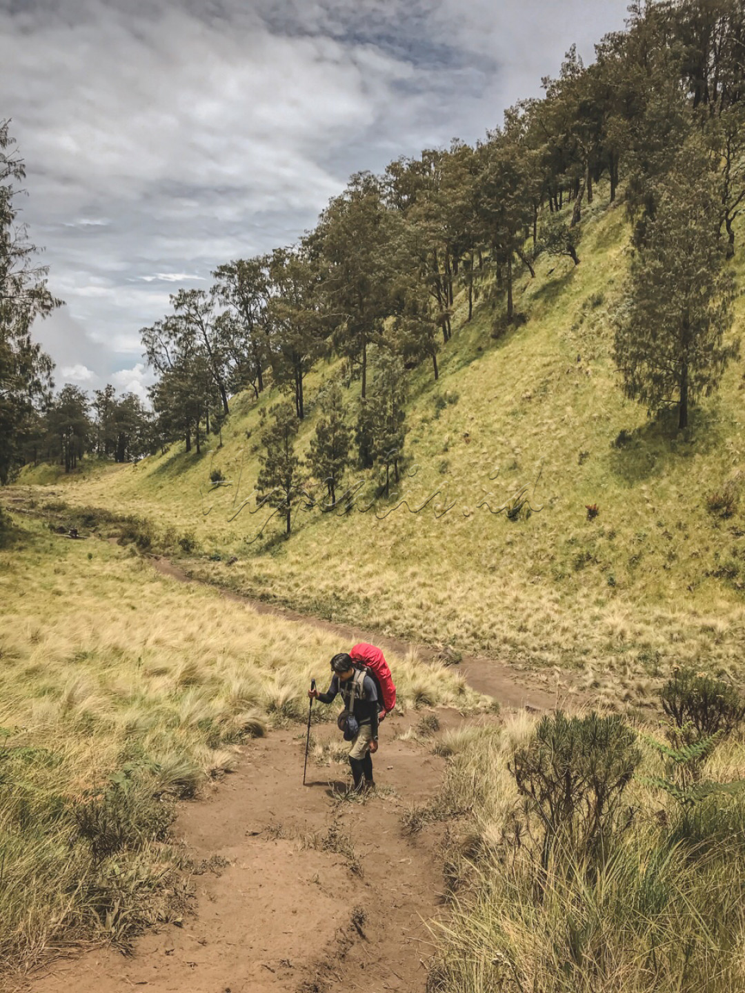 Meskipun dikenal sebagai gunung yang mistis, Gunung Lawu kenyataannya punya pemandangan yang begitu luar biasa. Terlebih jika mendakinya menggunakan jalur Candi Cetho yang terletak di Kabupaten Karanganyar, Jawa Tangah. Dengan dominasi jalur pendakian yang cukup landai dan punya panorama alam sabana gunung yang begitu luas dan indah membuat jalur pendakian ini sangat direkomendasikan untuk para pendaki gunung. Waktu terbaik untuk mendaki Gunung Lawu yaitu pada musim kemarau, karena di sana para pendaki bakal disuguhkan banyak sekali pemandangan yang luar biasa.