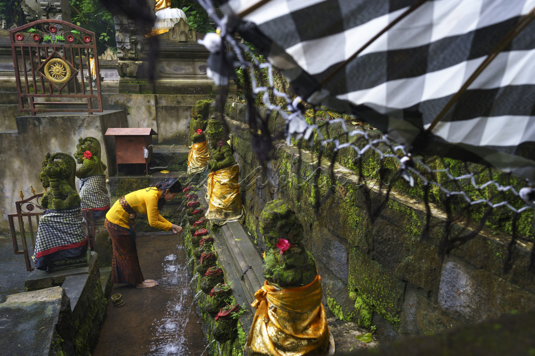 Tampak seorang wanita sedang melakukan suci diri di Pura pancoran solas Gianyar Bali