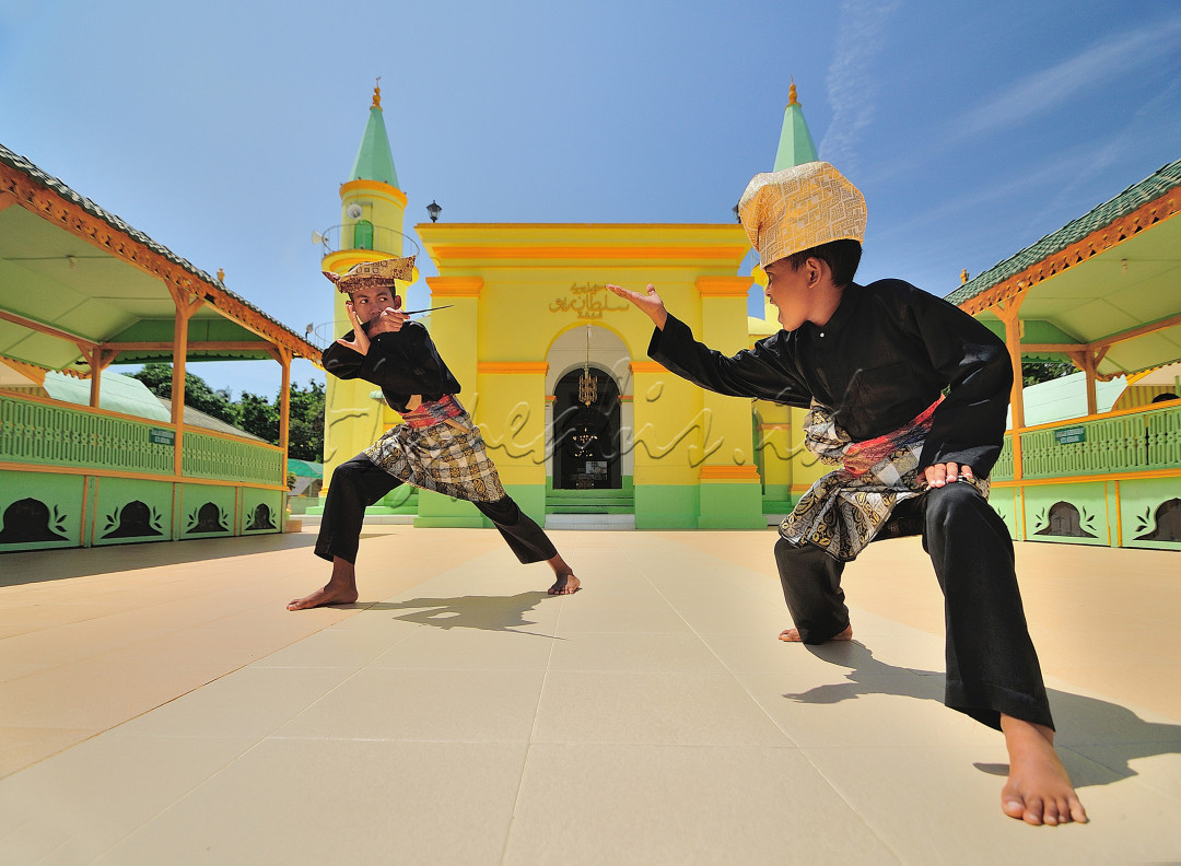 Pencak Silat Merupakah warisan budaya yang menjadi kebanggaan bagi bangsa indonesia, yang mana negara lain juga mengakuinya, banyak negara negara lain menjadi pengemar pencak silat, terbukti di event event besar dunia pencak silat sering di tampilkan di negara negara lain