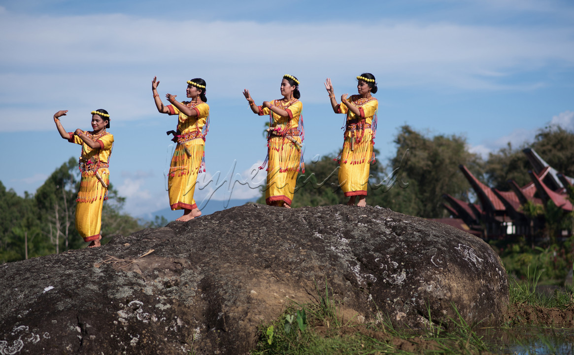 Tari Pagellu merupakan salah satu jenis tari tradisional yang masih terus di lestarikan oleh masyarakat Toraja Utara hingga kini, Tari Pagellu dalam persembahannya secara umum mengandung makna sebagai tarian sambutan. Pa’gellu atau ma’gellu dalam bahasa setempat berarti menari-nari dengan riang gembira sambil tangan dan badan bergoyang dengan gemulai, dan lenggak-lenggok.<br />
