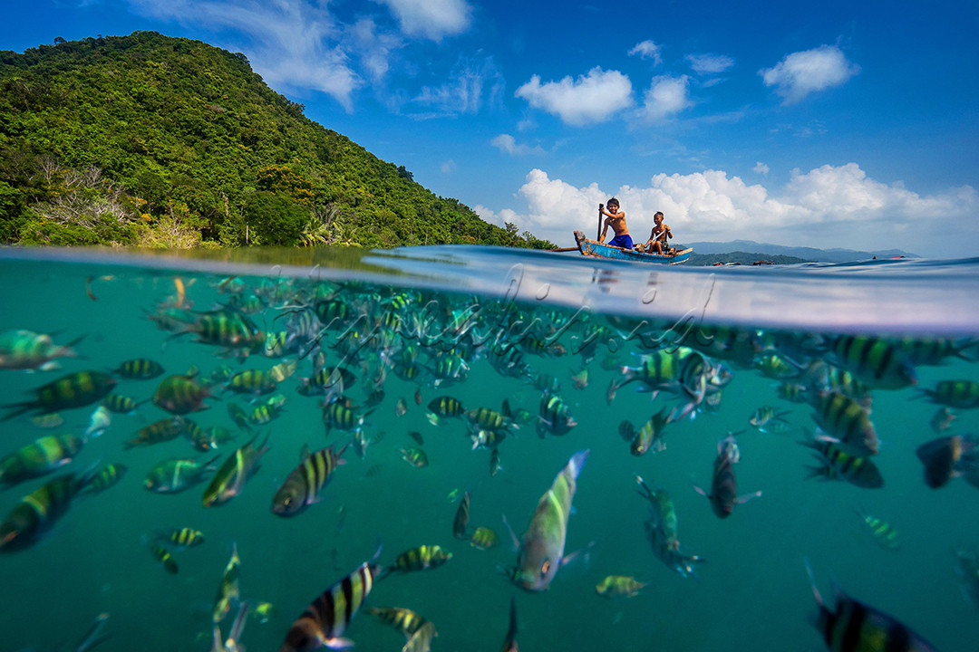 Pulau Pahawang terkenal dengan keindahan pantai dan bawah lautnya. Sudah banyak yang mengakui pesonanya, baik wisatawan nusantara maupun wisatawan lokal Lampung. Ada banyak tempat wisata di Lampung, Pahawang bisa dibilang menjadi salah satu idola. Tidak mengherankan kalau ditanya mau ke mana, wisatawan akan menjawab ‘ke Pahawang. Banyak tidak mengetahui kalau Teluk Lampung memiliki banyak jenis ikan badut (clownfish). Sekali snorkeling, kalau beruntung, bisa menjumpai beberapa jenis ikan badut. Ada ikan badut bewarna putih dengan corak bewarna oranye. Seperti yang pernah kamu tonton di film “Finding Nemo”. Juga ada clownfish warna dan corak lain di sini.