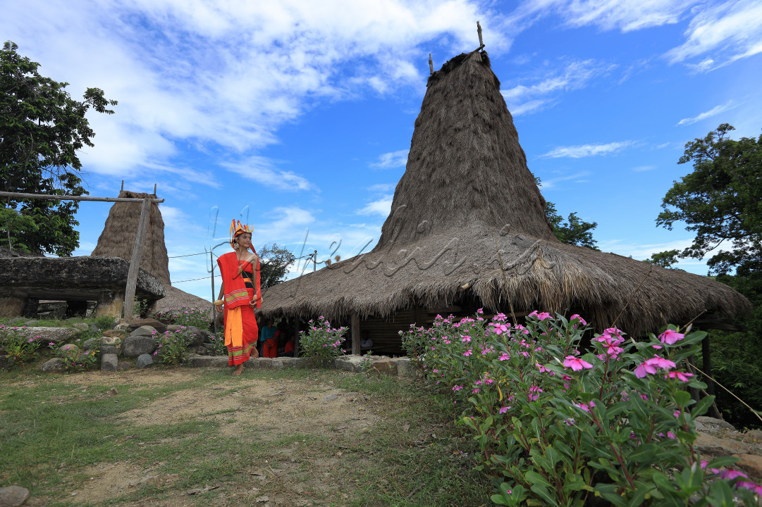 Sumba Barat NTT merupakan Salah satu wilayah yang memiliki kesenian yang masih bertahaj Dari zaman prasejarah megalitikum. Baik Dari bangunan hingga pakaian masih dapat dipertahankan hingga saat ini
