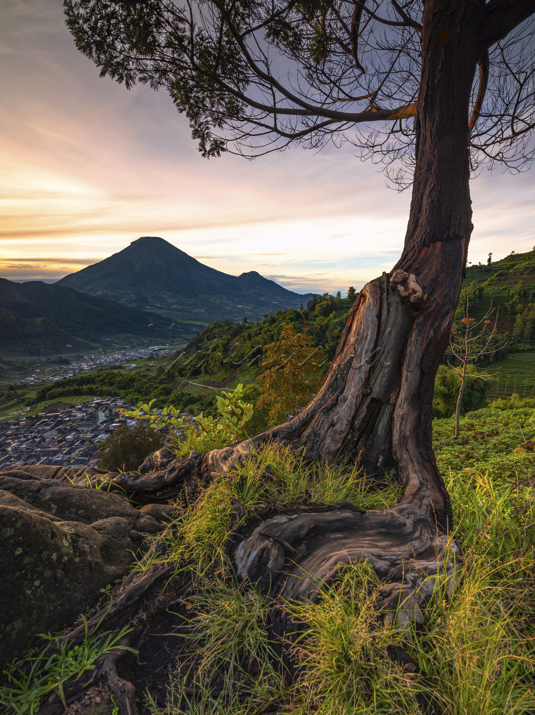 Gardu Pandang Tieng adalah tempat yang tepat untuk dapat menikmati keindahan landscape pedesaan. Dari Gardu Pandang ini, pengunjung dapat melihat indahnya gunung dan pegunungan yang berjajar. Ditambah dengan landscape perkebunan sayur.<br />
Berada di ketinggian 1.800 mdpl membuat pengunjung semakin dekat dengan pemandangan langit. Tak heran, kawasan perbukitan ini menjadi tempat yang tepat untuk menyaksikan matahari terbit. Jika datang sangat awal, maka pengunjung dapat menyaksikan keindahan itu