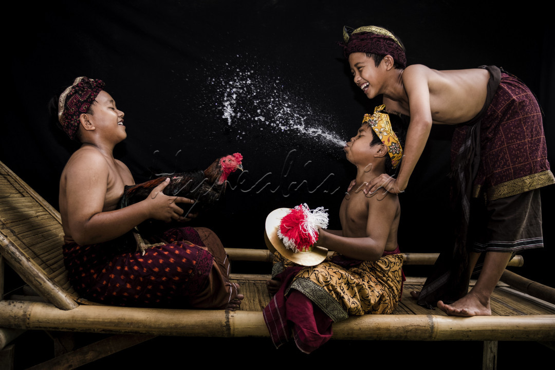 Candaan anak-anak yang sedang bermain sambil memandikan ayam jago kesayangan mereka