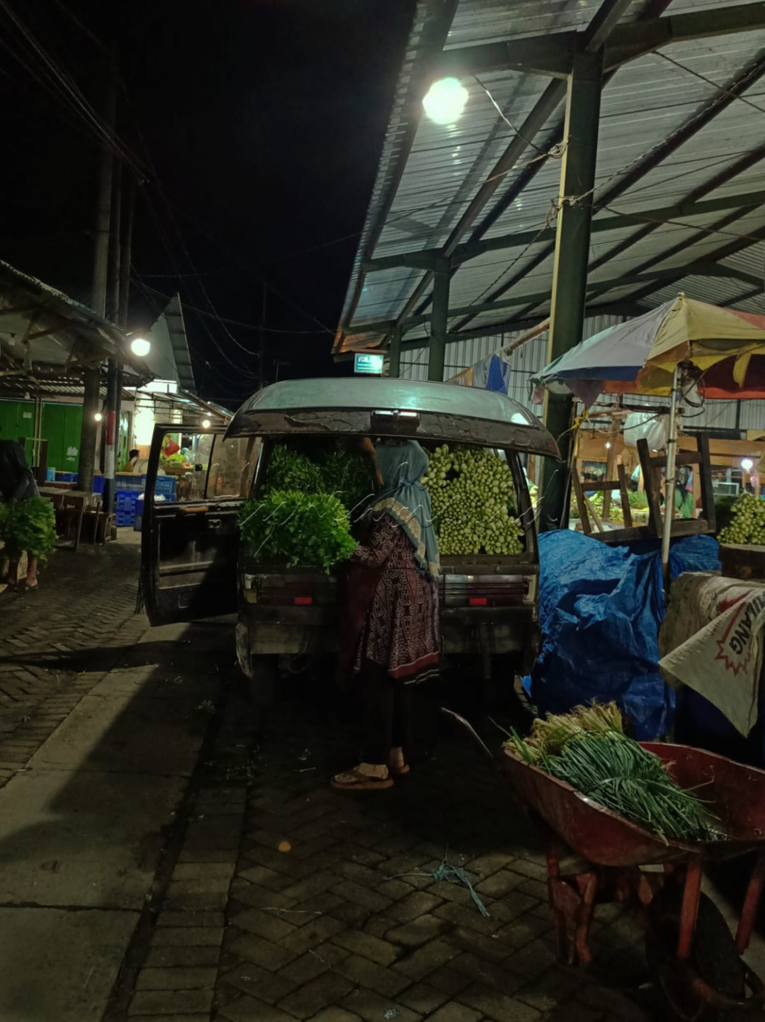 Salah satu penjual sayuran yang baru datang dan mengeluarkan sayur-sayur yang akan dijual.
