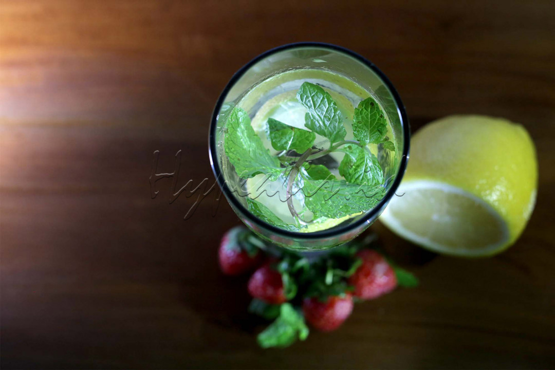 Tak hanya terasa menyegarkan saat diminum, infused water juga memiliki beragam manfaat bagi kesehatan. Infused water belakangan ini sangat populer dan dikenal sebagai minuman yang berkhasiat sebagai detoksifikasi. 