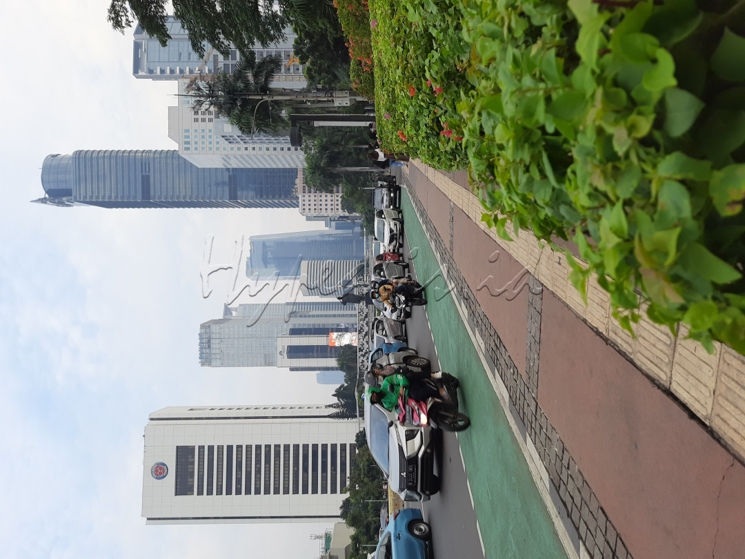 Jalan Jenderal Sudirman atau Jalan Sudirman adalah nama salah satu jalan utama Jakarta dan merupakan pusat bisnis di kota ini.<br />
Banyak pengunjung yang menghabiskan waktunya di kawasan ini untuk mengambil foto maupun video.