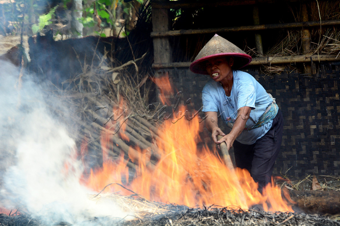 Panas api tak mereka pikirkan, yang ada hanya bagaimana cara menambah penghasilan keluarga.
<div>Gerabah bagi perempuan Dusun Sambirata, Purbalingga adalah penopang kehidupan. </div>