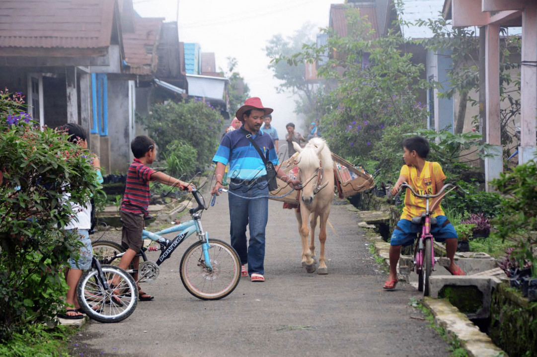 Kuda betina berbulu putih itu tampak berjalan tenang mengikuti arahan majikannya. Di punggung Luna, terdapat puluhan buku yang tertata rapi di raknya. 