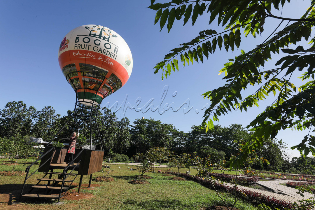 Kehadiran Bogor Fruit Garden juga akan menunjang kebutuhan siswa Sahid Islamic Boarding School yang berada tepat di samping taman ini, agar mereka dapat belajar dan praktek secara langsung. 