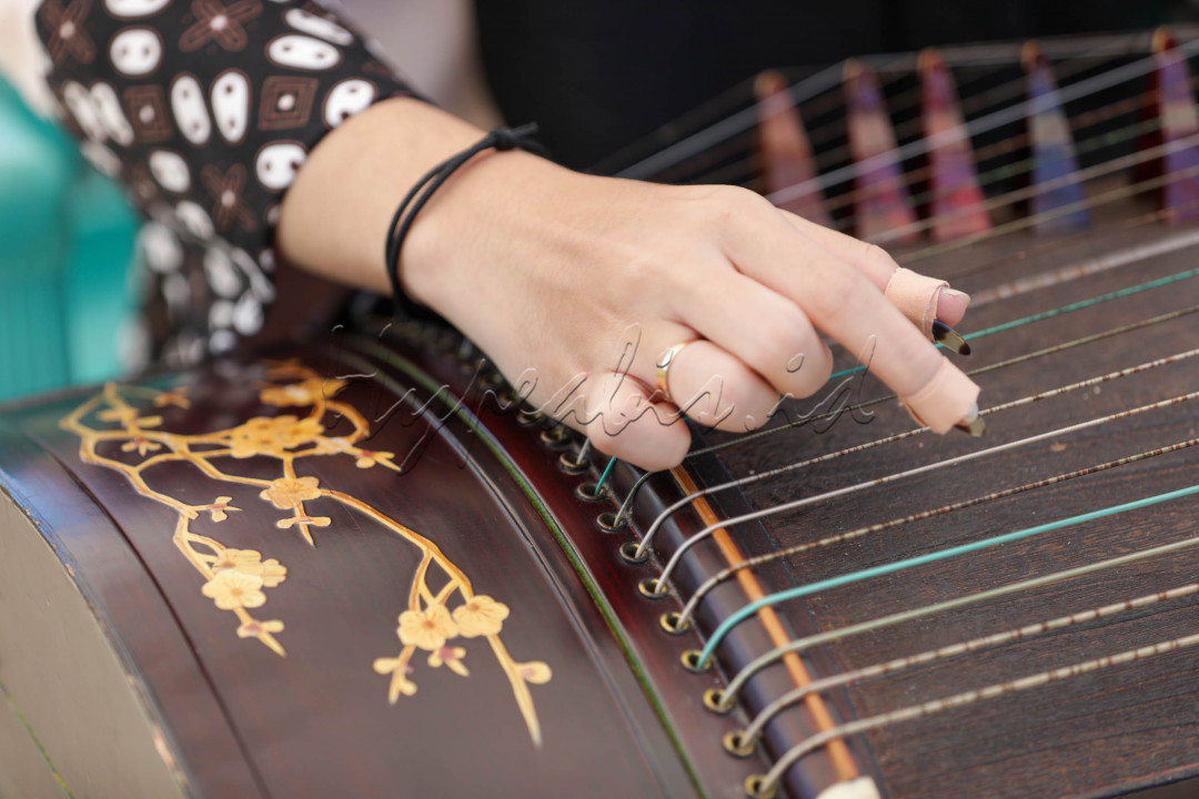 Adapun alat musik ini dimainkan dengan cara dipetik. Biasanya pada jari-jari untuk memetik disematkan alat bantu berupa kuku palsu yang terbuat dari tempurung kura-kura atau plastik. 