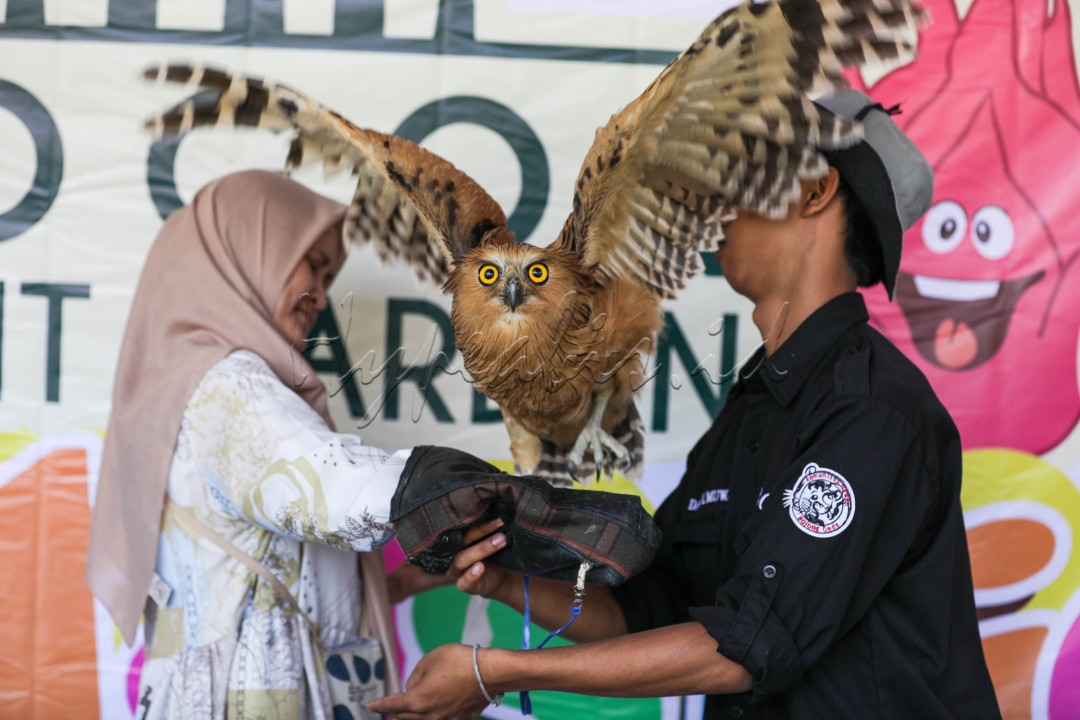 Sebagian hewan mereka dapatkan dengan cara jual beli. Namun tak sedikit pula hewan yang dipeliharan merupakan hasil rescue dari lingkungan masyarakat.