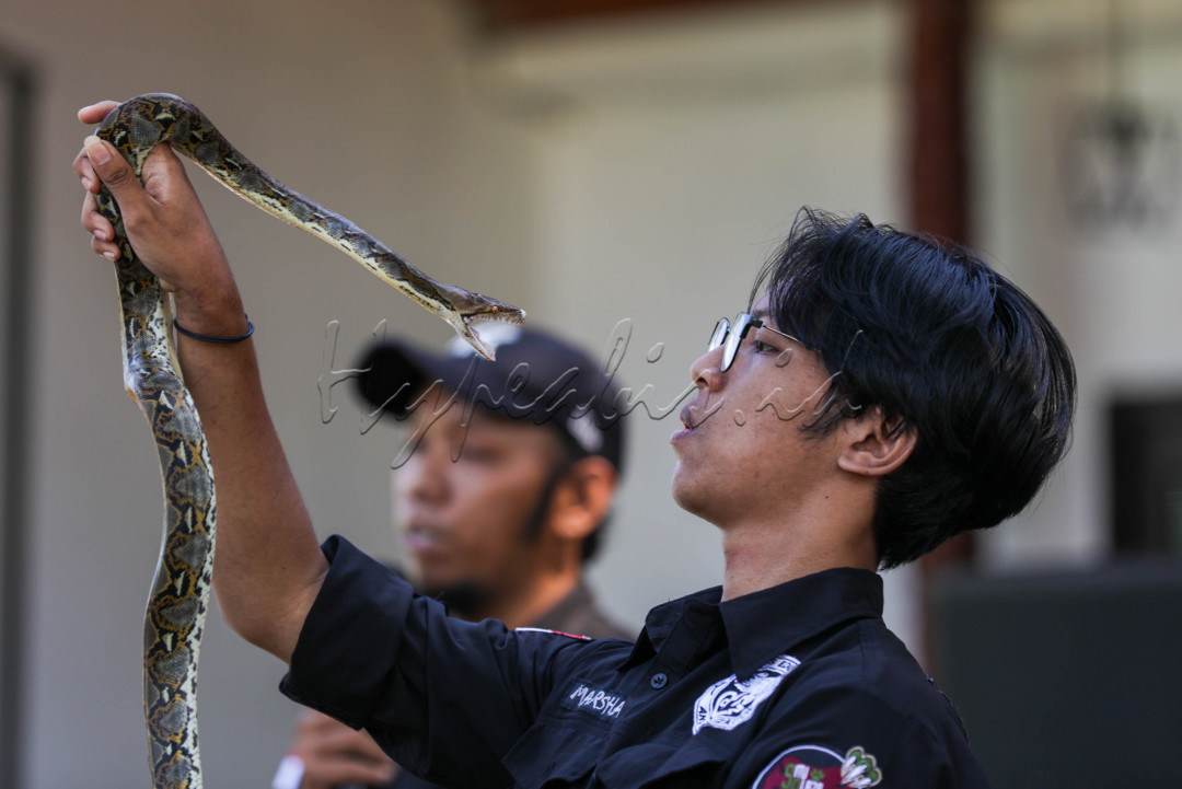 Biasanya komunitas ini lebih sering memberikan edukasi tentang ular. Hal ini karena ular cenderung lebih sering berkonflik dengan masyarakat. Ular kerap kali masuk ke rumah-rumah orang. 