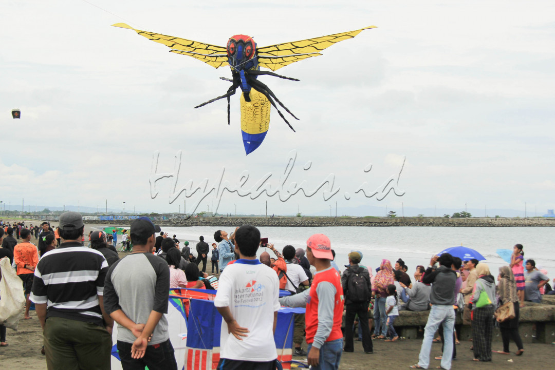 Pagi itu puluhan orang membawa layang-layang berukuran besar ke pesisir pantai Cilacap. Mereka hendak mengikuti Festival Layang-Layang.