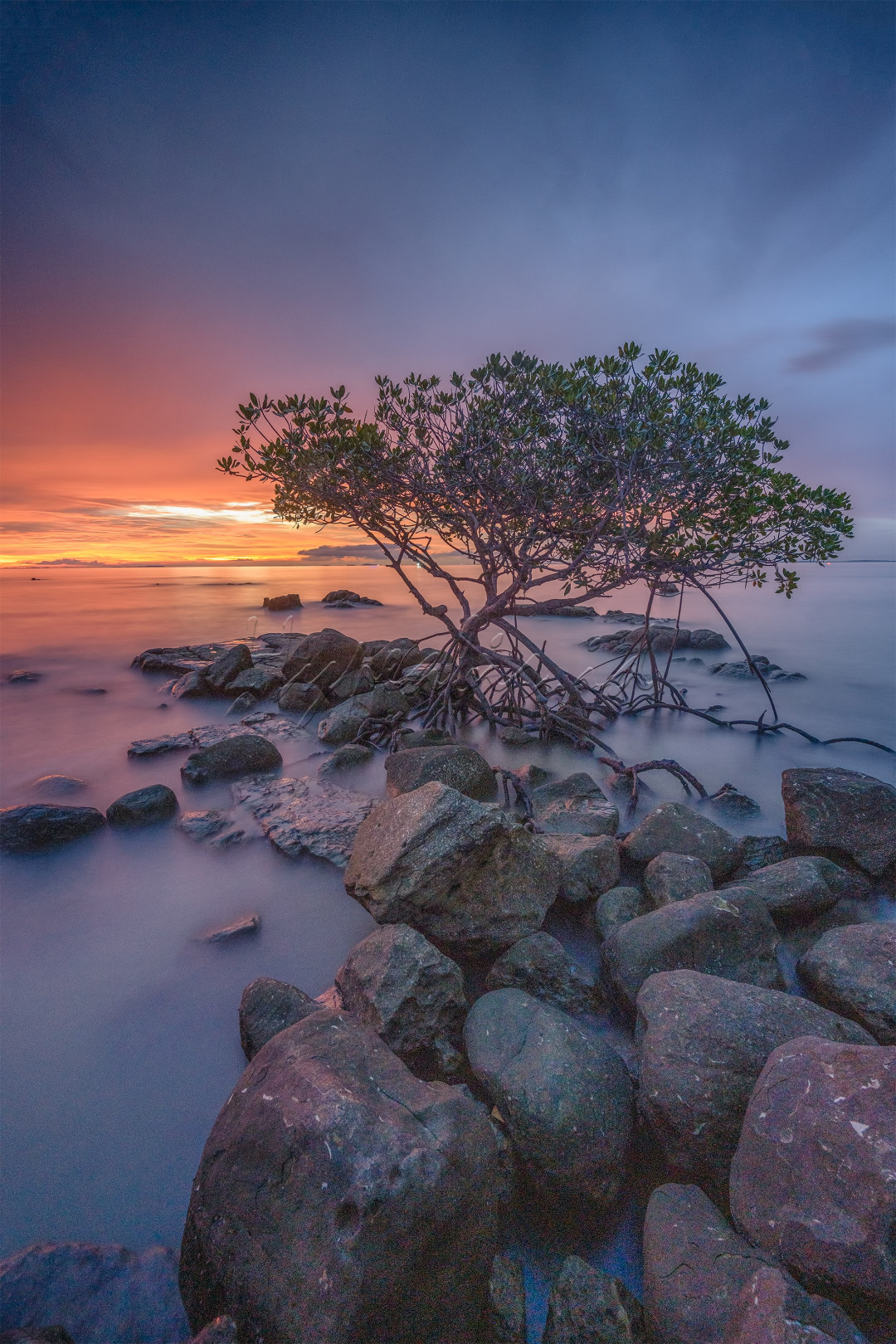 Diambil pada hari Sabtu pada tanggal 25 Juni 2022. <br />
Lokasi pengambilan: Bintan, Pantai Tanjung Setumu<br />
Kamera: Nikon Z7 II <br />
Lensa: Nikkor Z 14-30mm f4.0<br />
Filter: Athabasca<br />
Tripod: Highlight