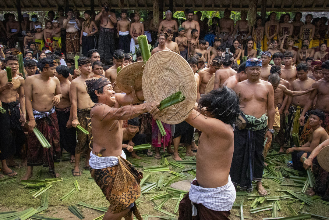 Perang pandan adalah salah satu tradisi yang ada di Desa Tenganan, Kecamatan Karangasem, Bali. Perang pandan juga disebut dengan istilah makere-kere. Tenganan adalah salah satu desa tertua yang ada di pulau Bali. Desa ini dikelilingi oleh bukit seperti benteng. Ritual perang pandan dilakukan di depan balai pertemuan desa Tenganan. Perang pandan dilakukan setiap bulan kelima atau sasih kalima dalam penanggalan desa adat Tenganan. Perang pandan merupakan salah satu tradisi yang dilakukan untuk menghormati dewa Indra atau Dewa perang. Perang pandan merupakan bagian dari ritual Sasih Sembah. Sasih sembah ialah ritual terbesar yang ada di Desa Tenganan. Perang pandan merupakan salah satu tradisi yang dilakukan untuk menghormati dewa Indra atau Dewa perang. Perang pandan merupakan bagian dari ritual Sasih Sembah. Sasih sembah ialah ritual terbesar yang ada di Desa Tenganan.