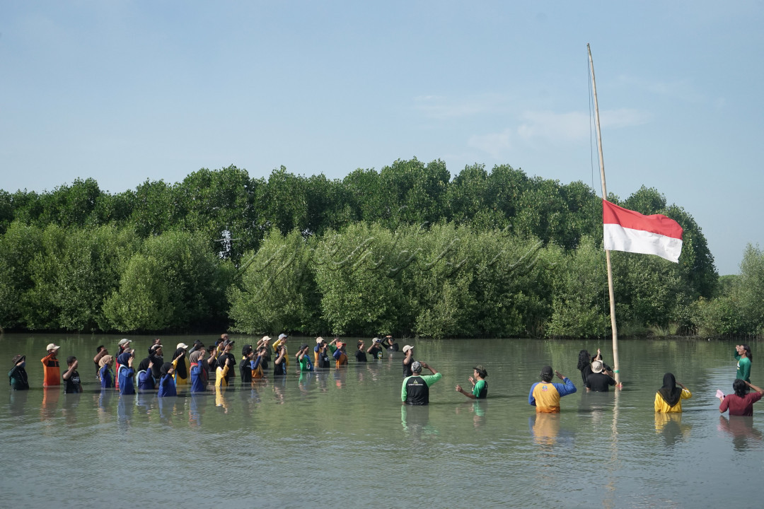 Gabungan antar komunitas dan pemuda hingga masyarakat sekitar melakukan Kegiatan Mengkibarkan bendera Merah Putih ditengah mangrove dalan rangka HUT RI 77 (17/08/2022)<br />
.