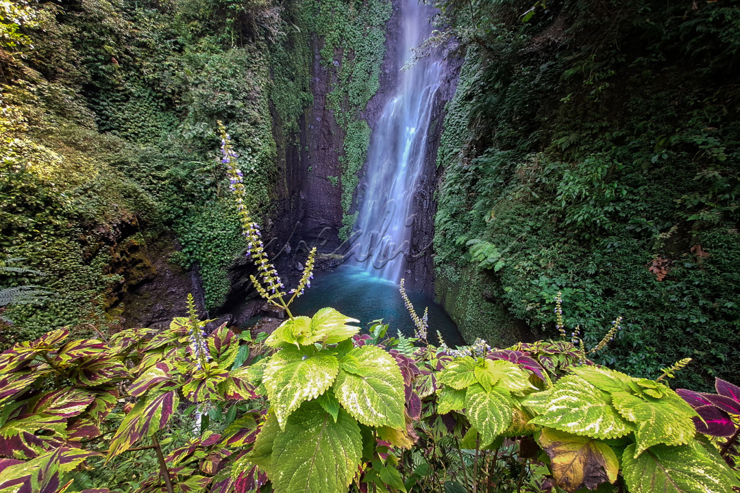 Air Terjun Puthuk Truno merupakan salah satu obyek wisata yang berada di daerah Prigen Pasuruan Jawa Timur. Wisata Air Terjun Puthuk Truno memiliki banyak pesona yang dapat dinikmati wisatawan, air terjun ini memilik ketinggian mencapai sekitar 45 meter. Sumber air yang berasal dari Gunung Arjuno – Welirang. Dengan aliran air yang cukup deras tentu menambah keindahan panorama air terjun Puthuk Truno ini.